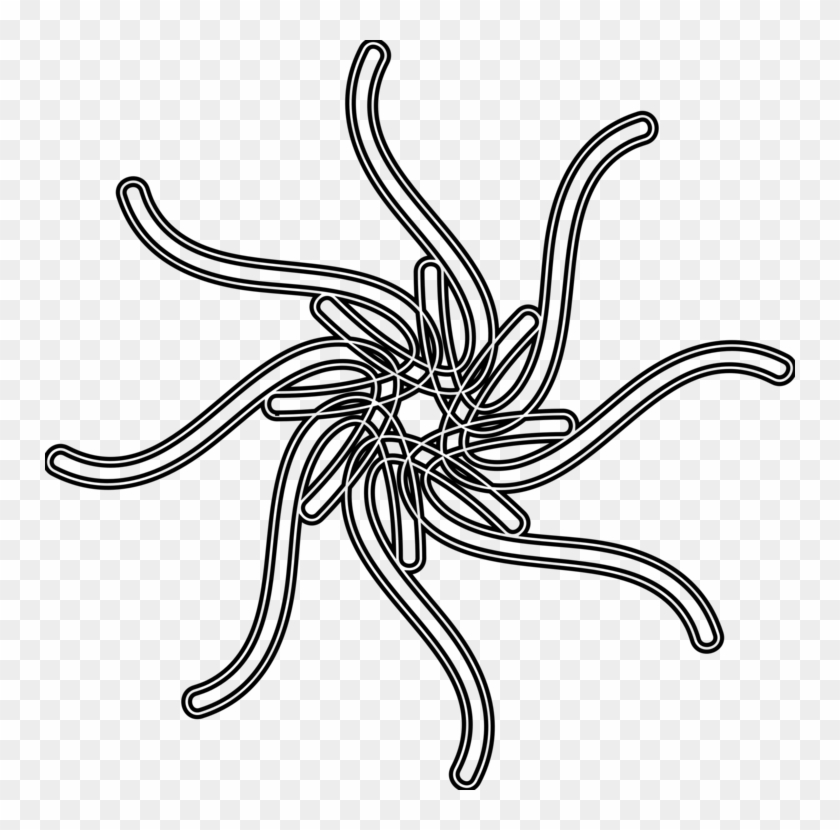 Coloring Book Colouring Pages Mandala Lawn - Coloring Book Colouring Pages Mandala Lawn #1492136