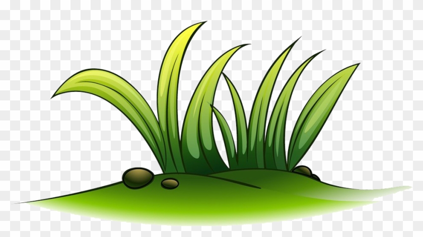 Clip Art A Plant Of Grass Transprent - Clip Art A Plant Of Grass Transprent #1492570