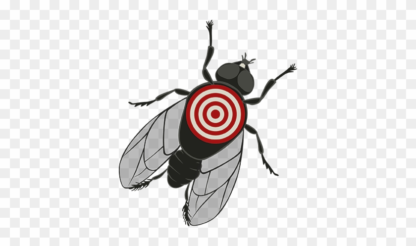 Freeuse Stock Flies Clipart Mosca - Freeuse Stock Flies Clipart Mosca #1494013