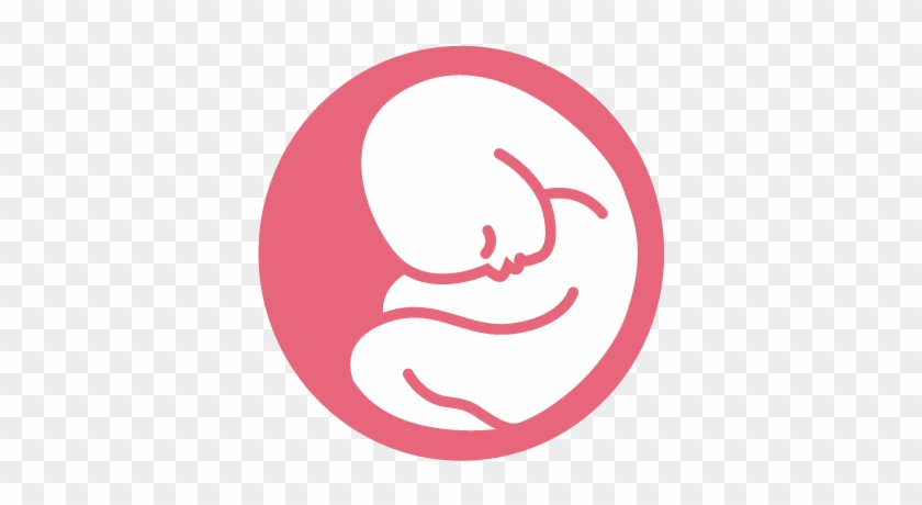 Your Due Date - Your Due Date #1495131