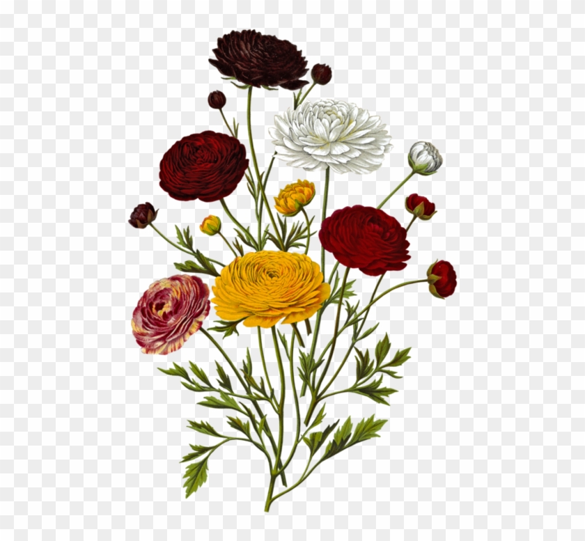 Toutes Les Fleurs, Clip Art - Toutes Les Fleurs, Clip Art #1495714