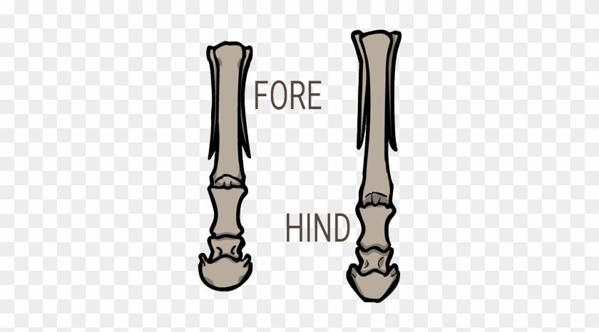 Equus Feet - Equus Feet #1496859