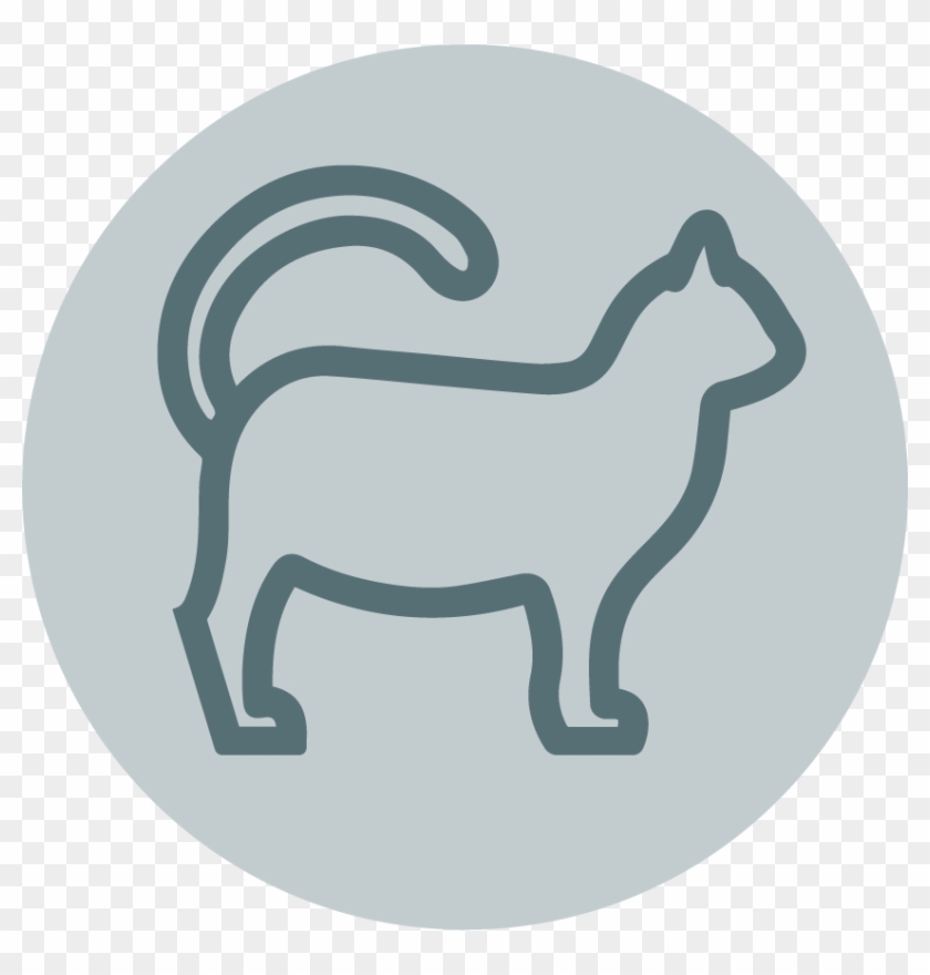 Cat Coupons - Cat Coupons #1496922
