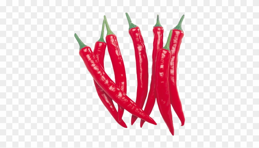 Peppers Transparent Png Images Stickpng - Peppers Transparent Png Images Stickpng #1497091