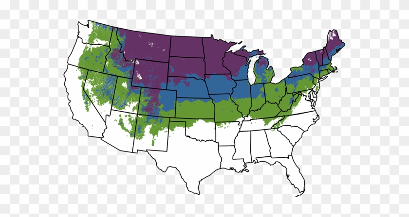 Zone Map - Zone Map #1497561