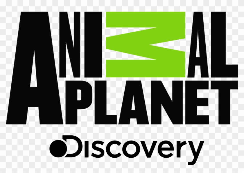 Image Logopedia Fandom Powered - Image Logopedia Fandom Powered #1497570