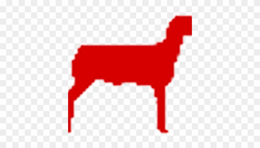 American Club Lamb - American Club Lamb #1497676