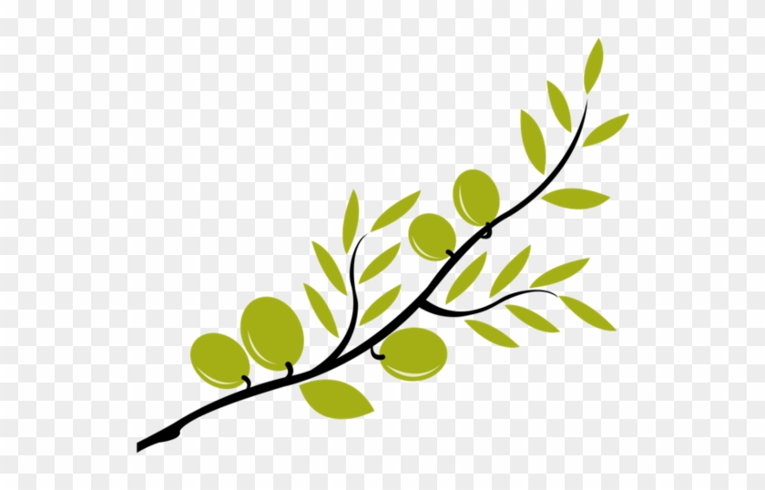 Olive Branch Petition - Olive Branch Petition #1498489