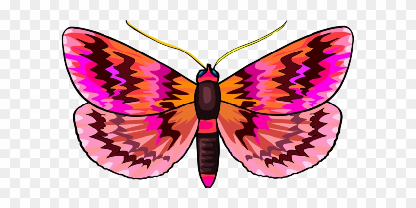 Monarch Butterfly Brush-footed Butterflies Insect Arthropod - Monarch Butterfly Brush-footed Butterflies Insect Arthropod #1498594