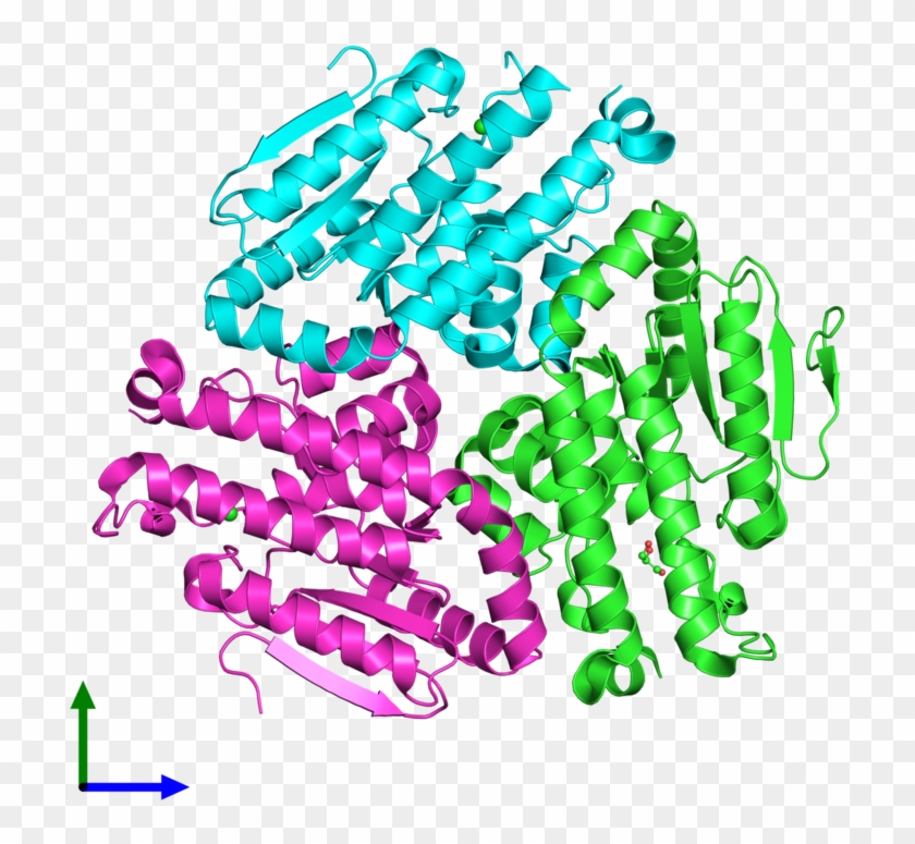 Ribbon Structure Of 4u18 - Ribbon Structure Of 4u18 #1498617