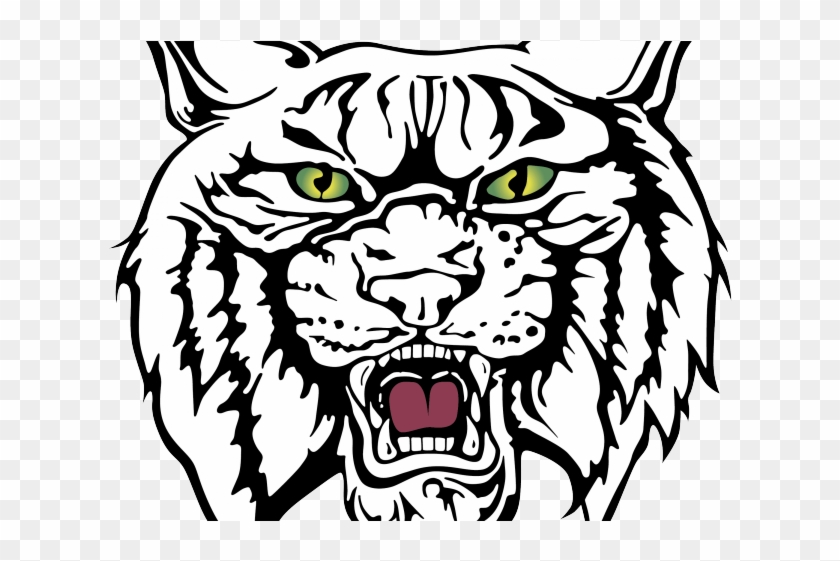 Wildcat Clipart Drawing - Wildcat Clipart Drawing #1498993