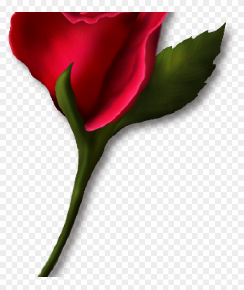 Single Rose Clipart Single Rose Clipart Png Real Clipart - Single Rose Clipart Single Rose Clipart Png Real Clipart #1499830