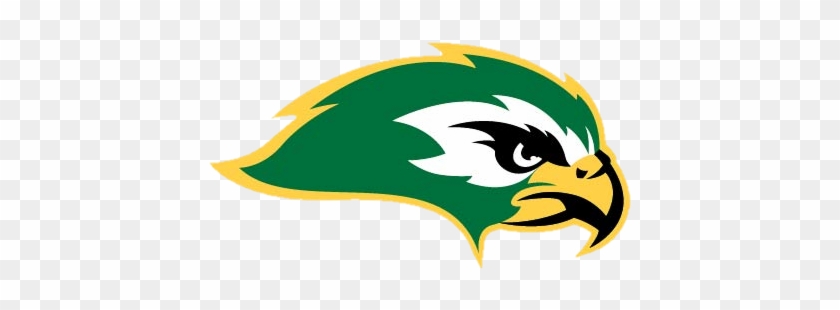 Ben Lippen School Falcons - Ben Lippen School Falcons #1499992