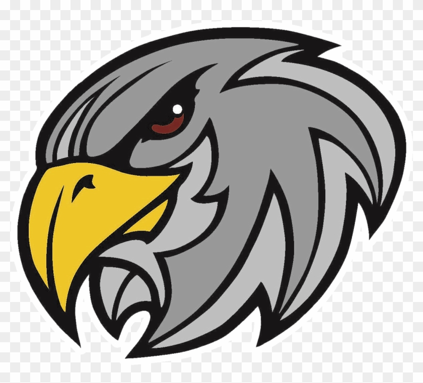 Yeshivah Of Flatbush Falcons - Yeshivah Of Flatbush Falcons #1500001