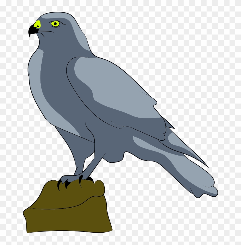 Falcon-clipart - Falcon-clipart #1500041