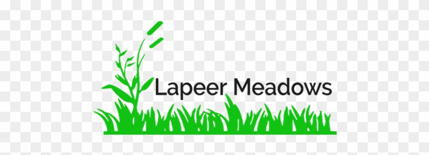Lapeer Meadows Mhc - Lapeer Meadows Mhc #1501183