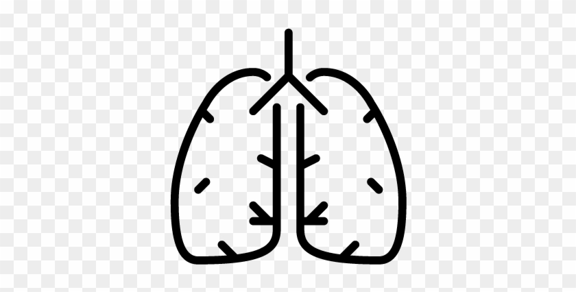 Lung Function - Lung Function #1501428