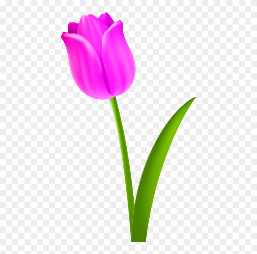 All Photo Png Clipart - All Photo Png Clipart #1501975
