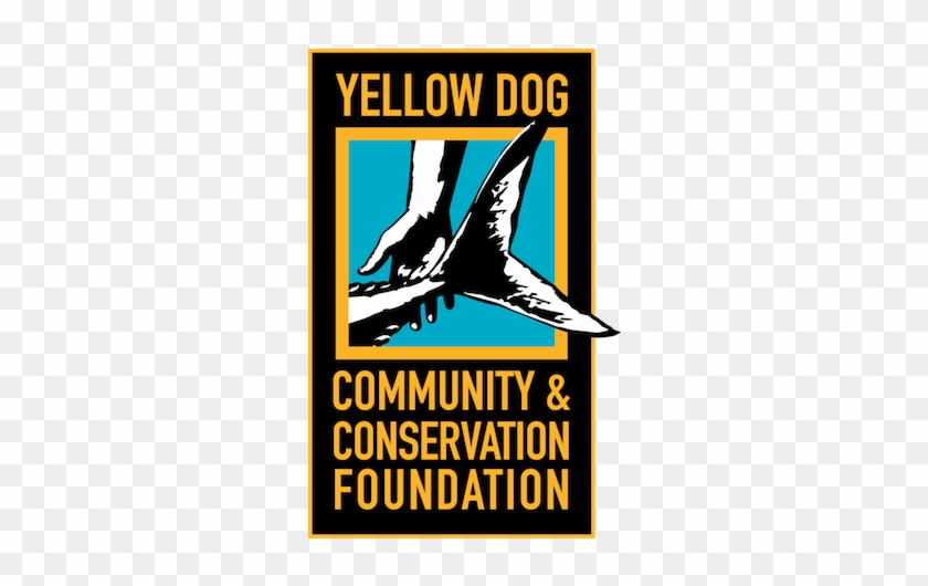 Yellow Dog Community & Conservation Foundation - Yellow Dog Community & Conservation Foundation #1502085