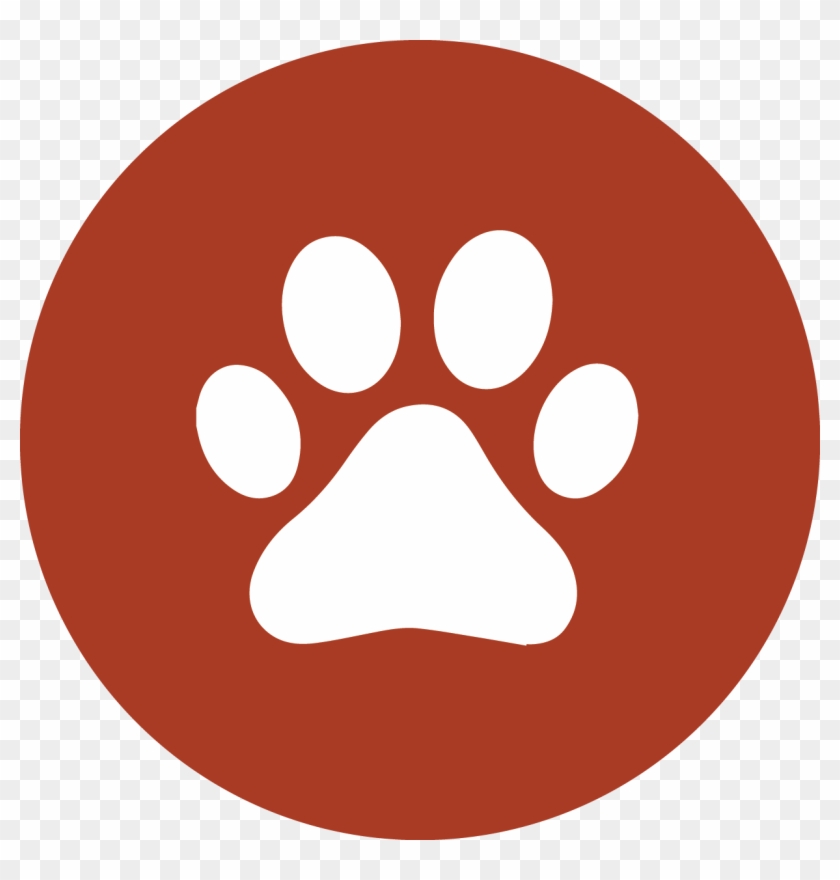 Edmonton Pet Friendly Hotel - Edmonton Pet Friendly Hotel #1502661