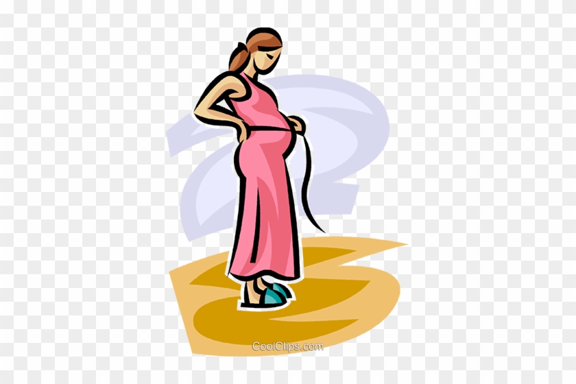 Collection Of Free Bellied - Collection Of Free Bellied #1503209
