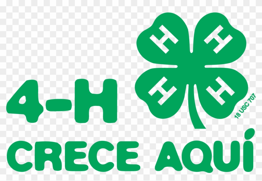 4 H Grows Here C - 4 H Grows Here C #1503588