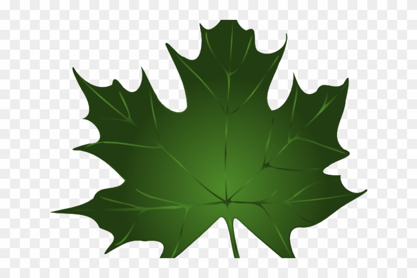 Maple Leaf Clipart Summer - Maple Leaf Clipart Summer #1504453