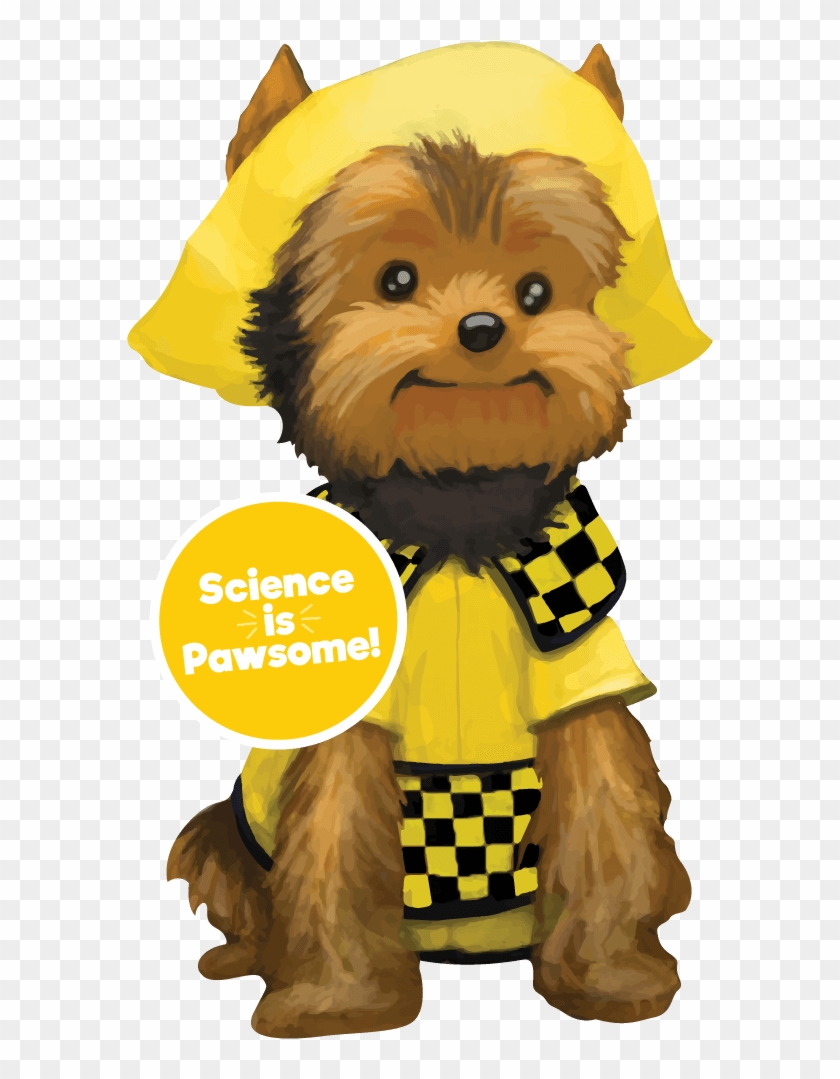 Schmitty The Weather Dog Book - Schmitty The Weather Dog Book #1504819