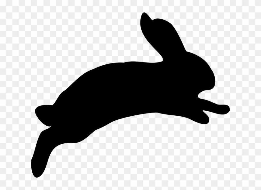No Frills Interhash Hare - No Frills Interhash Hare #1505712