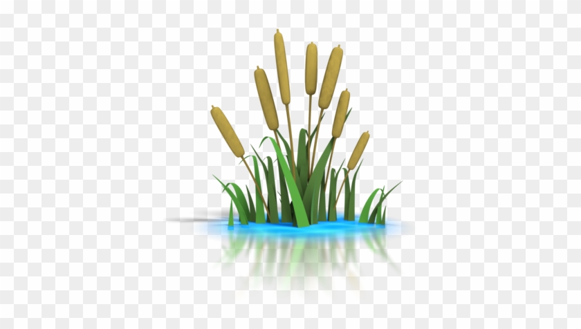 Pond Transparent Png Pictures - Pond Clip Art #234008