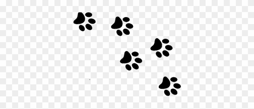 Paw Print Gif - Cat Paw Prints Png #235924