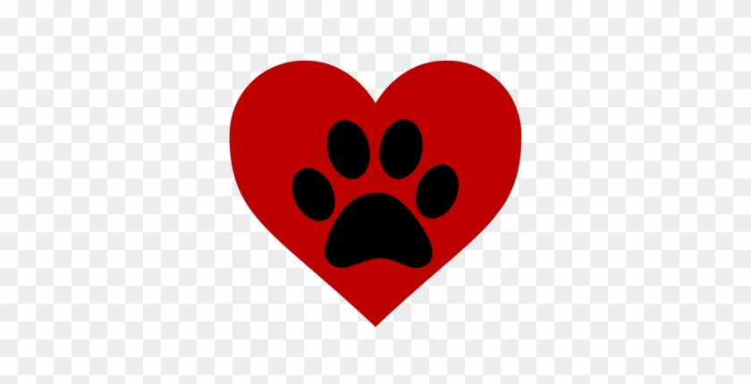 We Are A Network Of Peer Supporters At The College - Love Veterinary Medicine #236080
