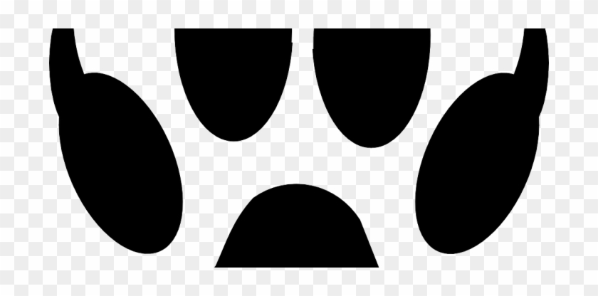 Paw #236232