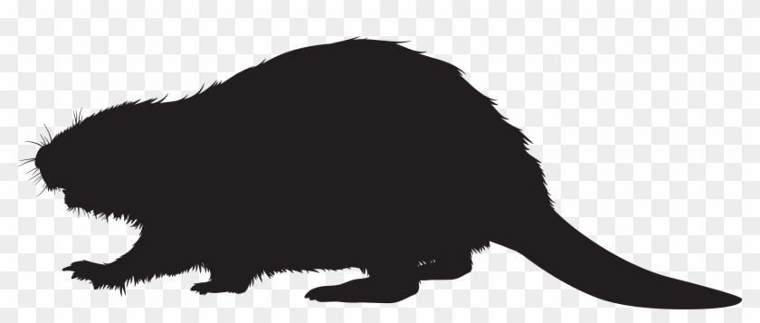 Cat Dog Black And White Canidae - Cat Dog Black And White Canidae #236693