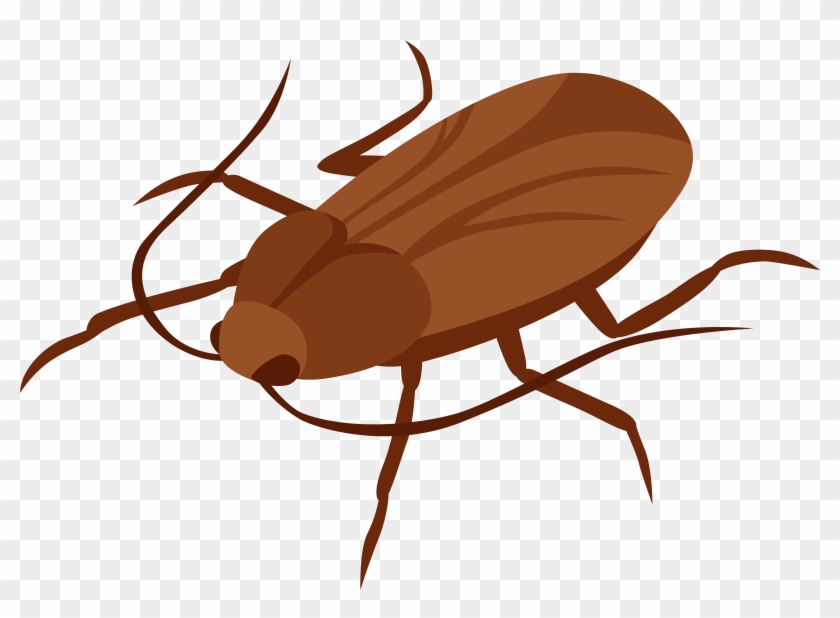 Cockroach Png Clip Art - Lake Illawarra #236710