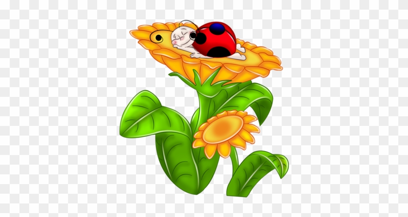 Vrolijke Bloem - Music Land #236899