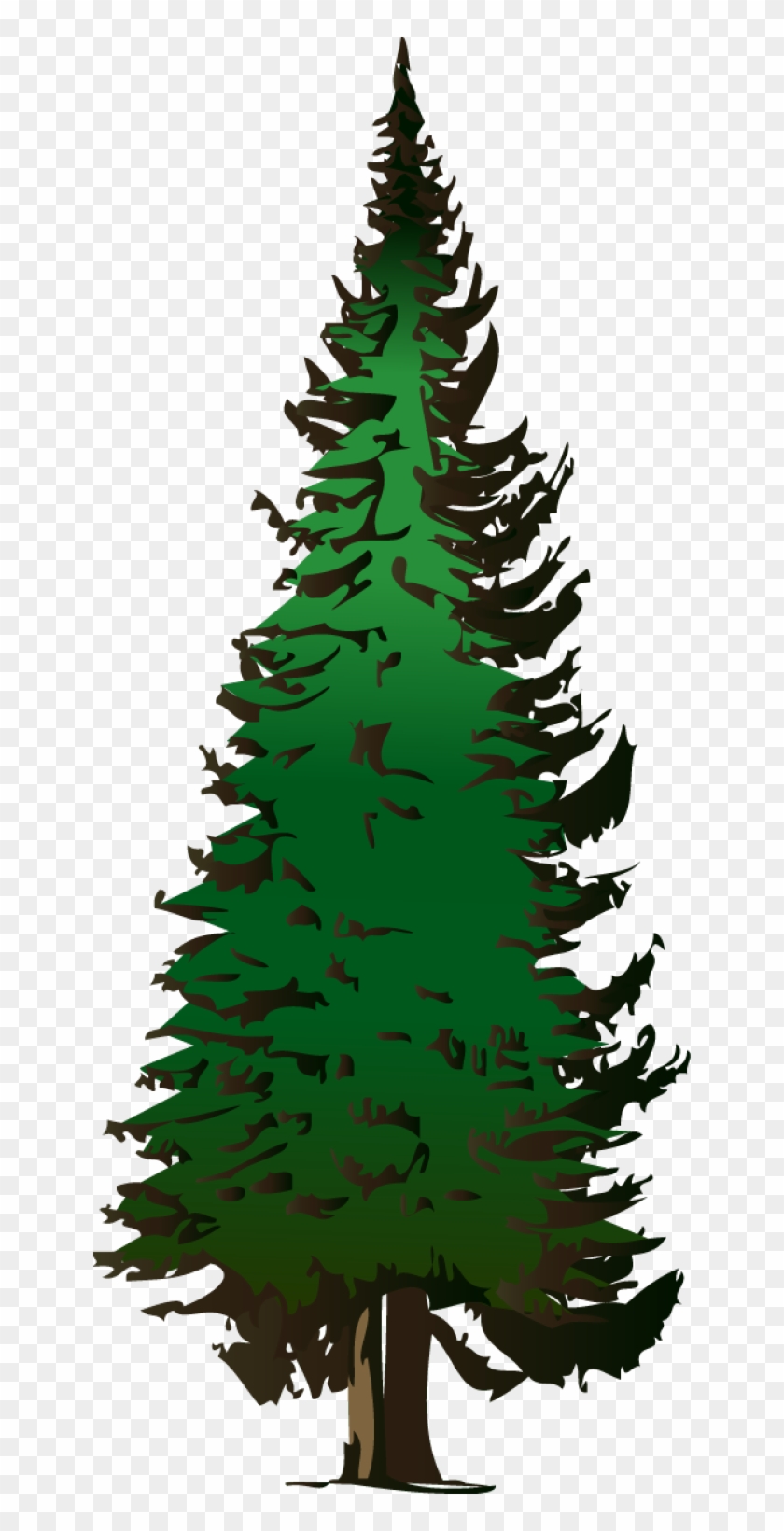 Fir - Clipart - Fir Tree Clip Art #236933