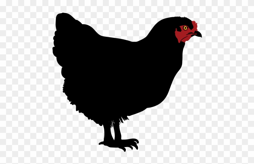 Black Chicken Clipart - Black Chicken Clipart #1507562