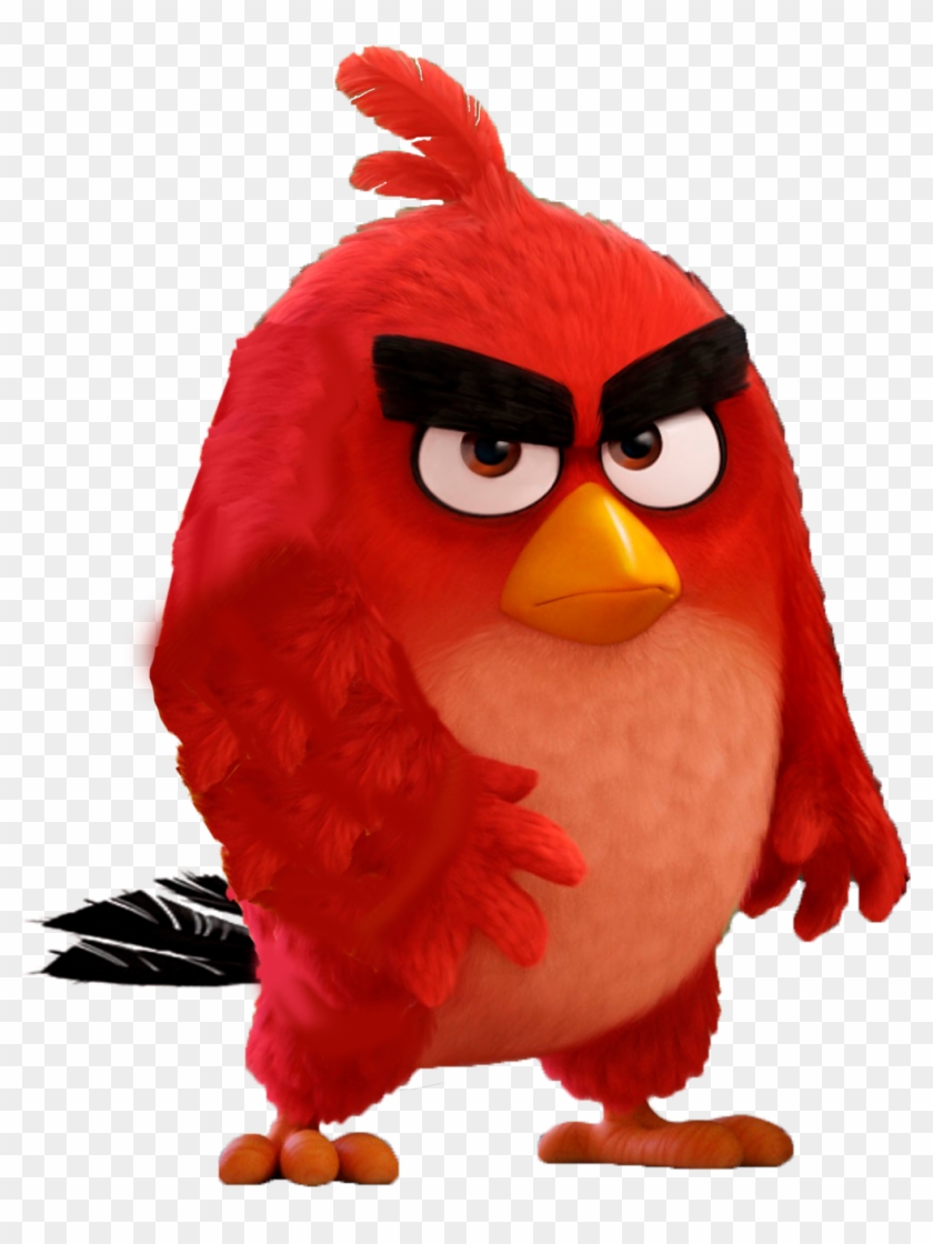 Angry Birds Images Red Hd Wallpaper And Background - Angry Birds Images Red Hd Wallpaper And Background #1508807