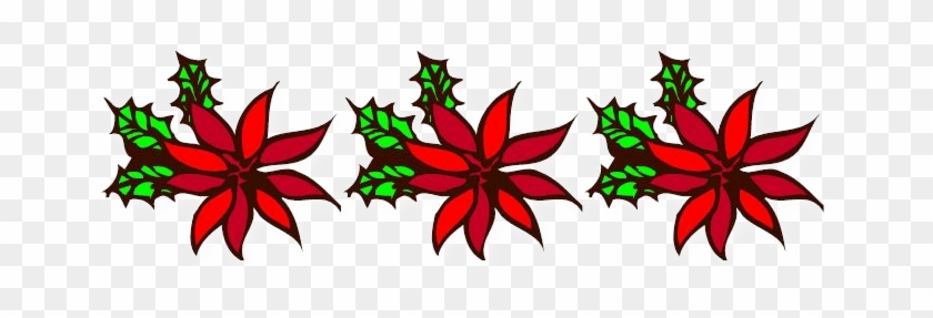 Poinsettias - Poinsettias #1509312