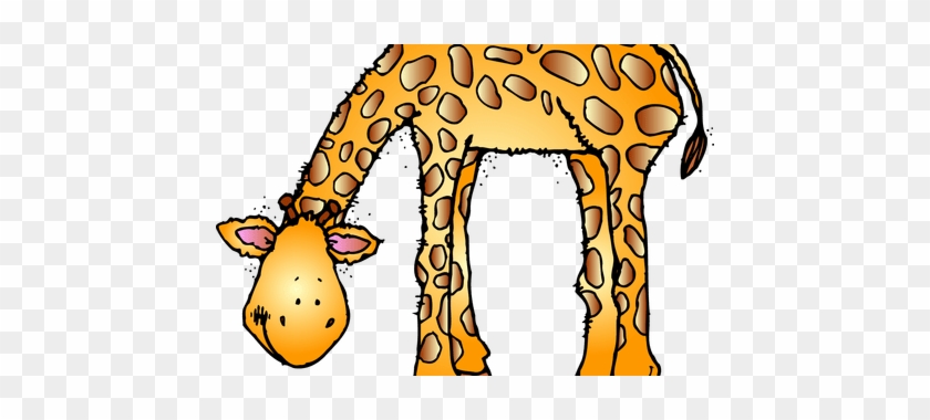 Download Wallpaper Clipart Full - Download Wallpaper Clipart Full #1510850