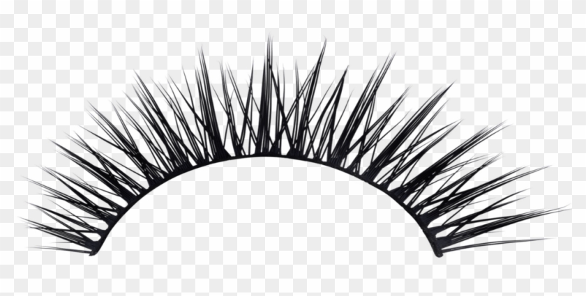 Jpg Freeuse Stock Eyelashes Free Download Best On X - Jpg Freeuse Stock Eyelashes Free Download Best On X #1511030