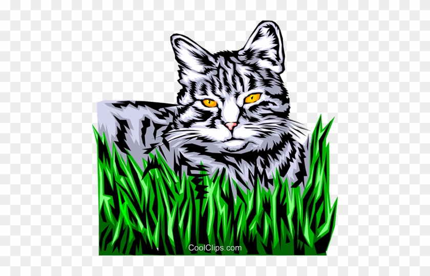 Domestic Cat Royalty Free Vector Clip Art Illustration - Domestic Cat Royalty Free Vector Clip Art Illustration #1511543