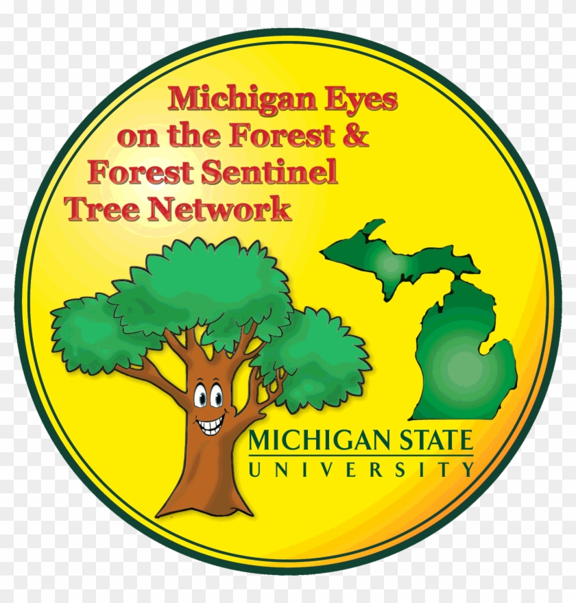 Statewide Initiatives - « - Statewide Initiatives - « #1511632