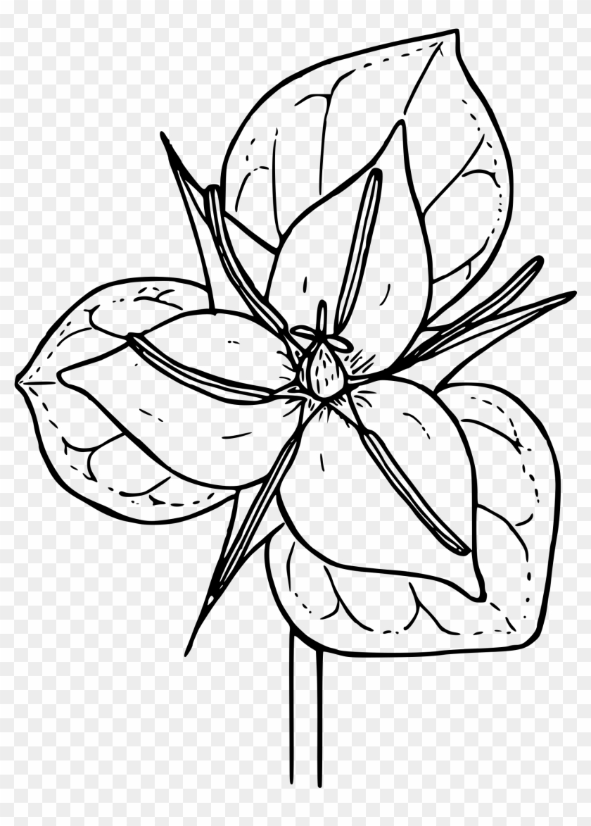 At Getdrawings Com Free - At Getdrawings Com Free #1512167
