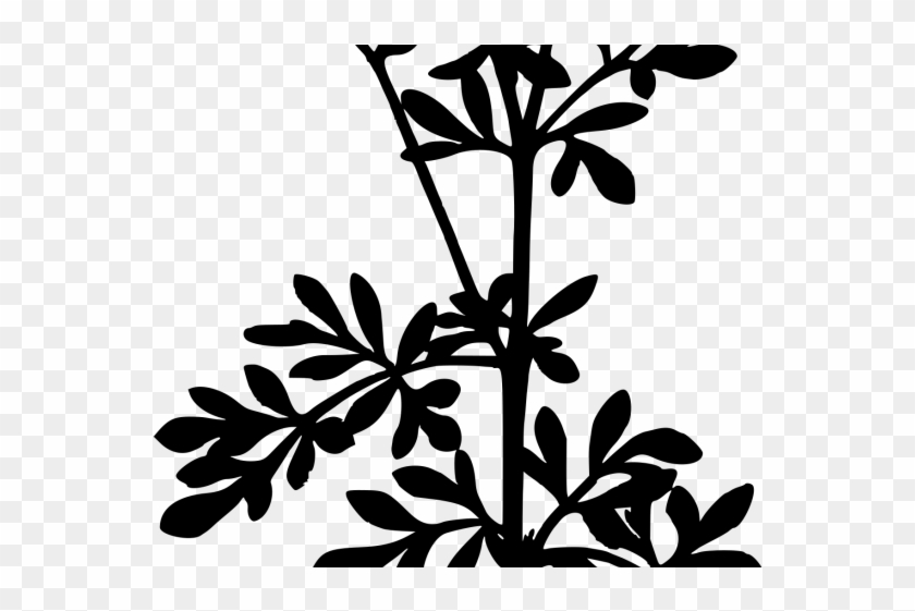 Herbs Clipart Silhouette - Herbs Clipart Silhouette #1514028