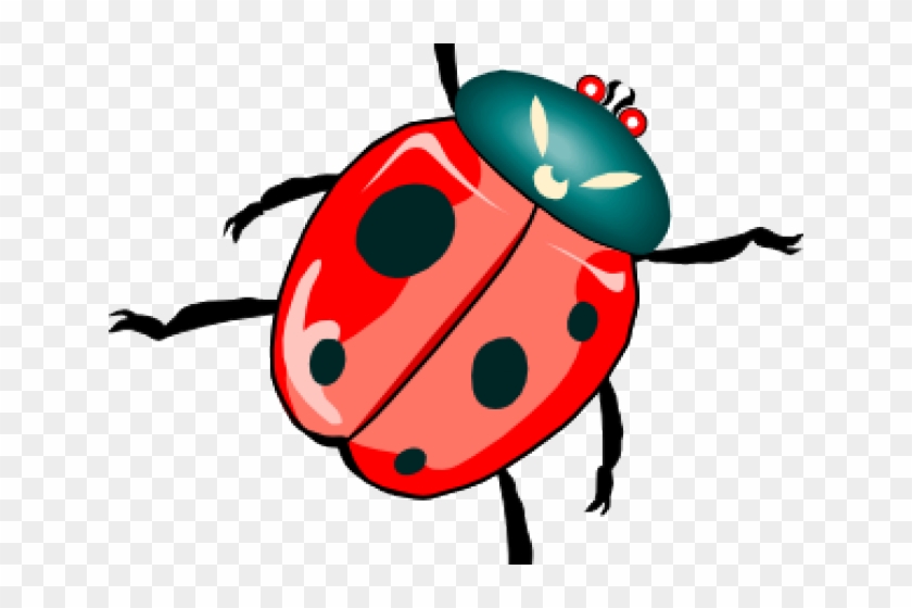Insect Clipart - Insect Clipart #1515266