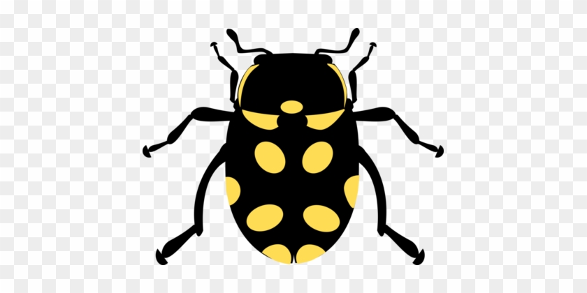 Ladybird Beetle Computer Icons Drawing Line Art - Ladybird Beetle Computer Icons Drawing Line Art #1515290