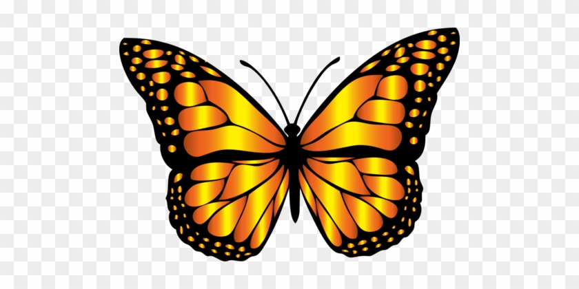 Monarch Butterfly Insect Brush-footed Butterflies Arthropod - Monarch Butterfly Insect Brush-footed Butterflies Arthropod #1515292