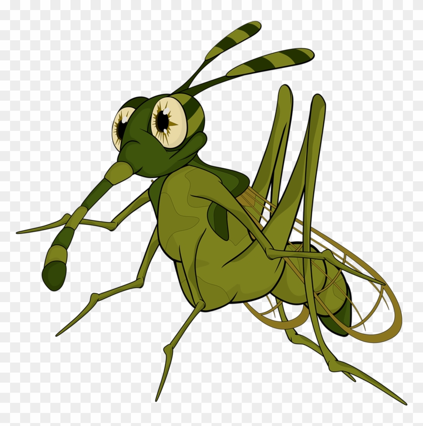 Insects Clipart Insect Grasshopper - Insects Clipart Insect Grasshopper #1515296